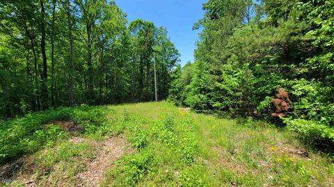 371 Rattle Trap Rd, Commerce, GA 30529 photo 6