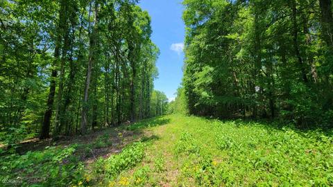 371 Rattle Trap Rd, Commerce, GA 30529 photo 2