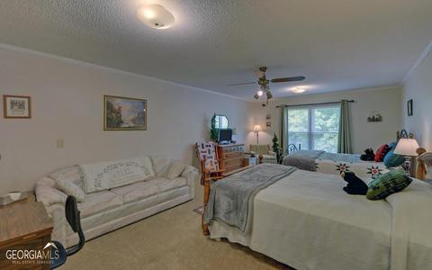 256 Beaver Brook Dr, Toccoa, GA 30577 photo 27