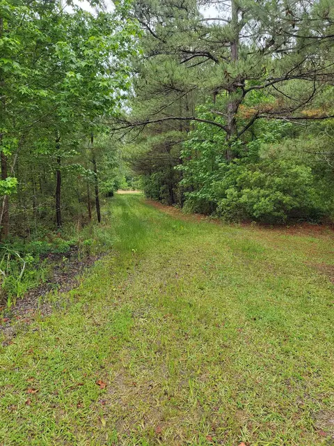 39 Lucille 2 County Road Dr, Hurtsboro, AL 36860