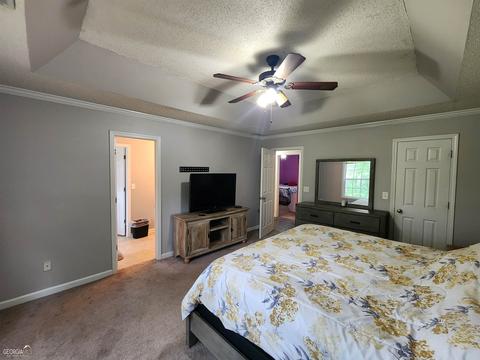 339 Centennial Dr, Bethlehem, GA 30620 photo 28