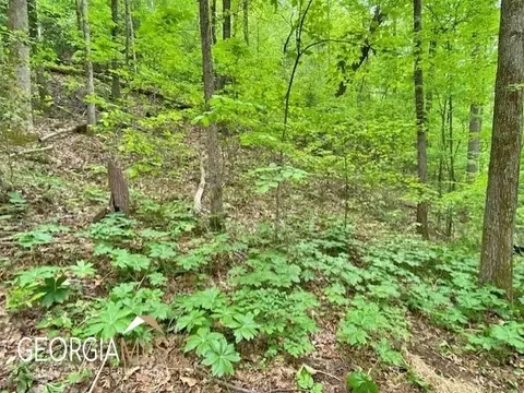 0 Old River Rd, Dahlonega, GA 30533