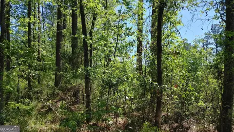 0 New Post Rd, White Oak, GA 31568 photo 16