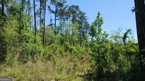 0 New Post Rd, White Oak, GA 31568 photo 14
