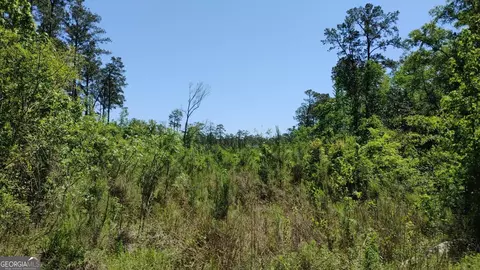 0 New Post Rd, White Oak, GA 31568 photo 12