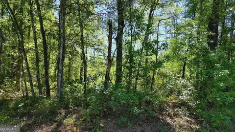 0 New Post Rd, White Oak, GA 31568 photo 10