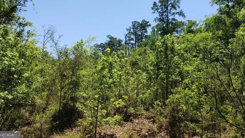 0 New Post Rd, White Oak, GA 31568 photo 15