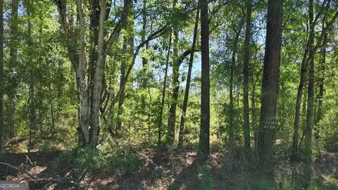 0 New Post Rd, White Oak, GA 31568 photo 13