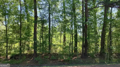 0 New Post Rd, White Oak, GA 31568 photo 11