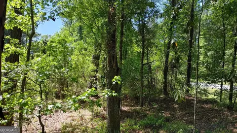 0 New Post Rd, White Oak, GA 31568 photo 17