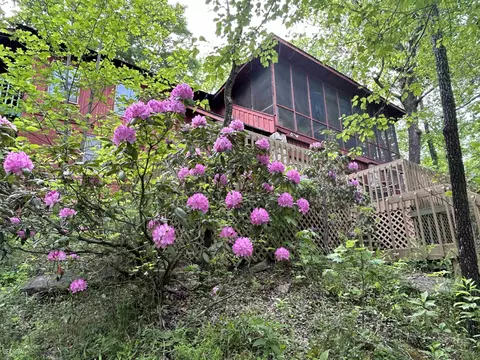 913 County Rd 106, Mentone, AL 35984