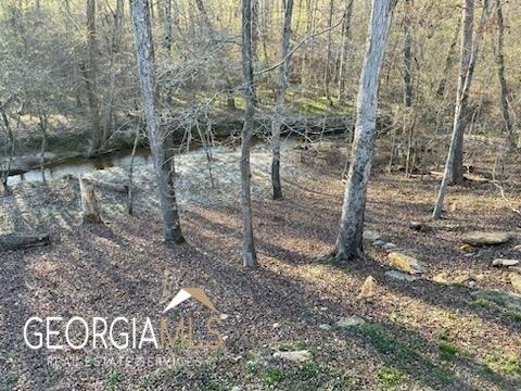1939 Hardman Rd, Colbert, GA 30628 photo 13