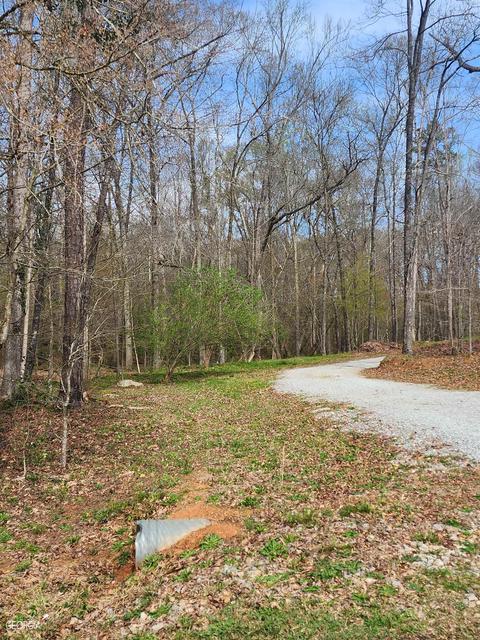 1939 Hardman Rd, Colbert, GA 30628 photo 21