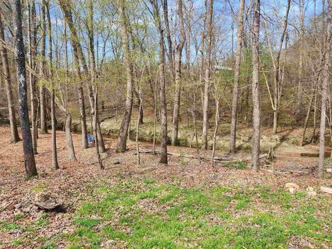 1939 Hardman Rd, Colbert, GA 30628 photo 22