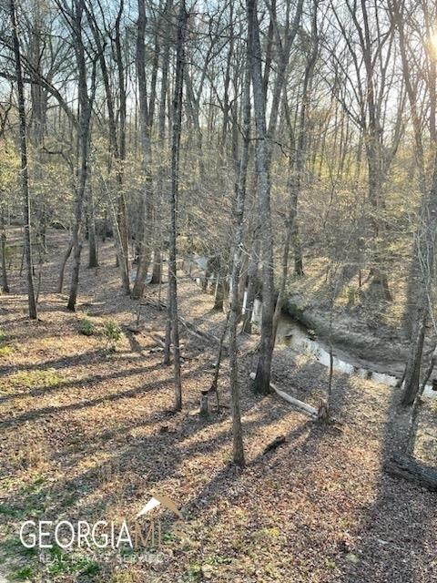 1939 Hardman Rd, Colbert, GA 30628 photo 14