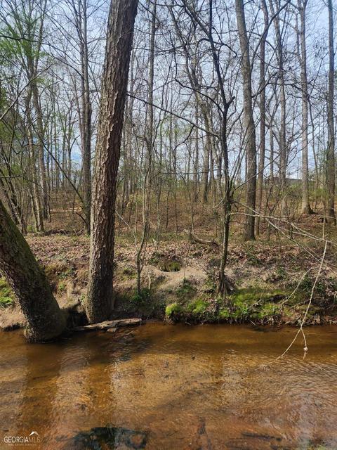 1939 Hardman Rd, Colbert, GA 30628 photo 27