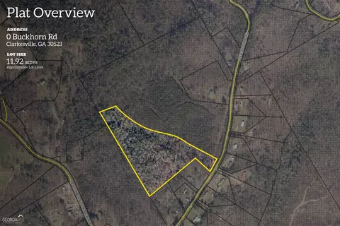 0 Buckhorn Rd #11.92 ACRES, Clarkesville, GA 30523