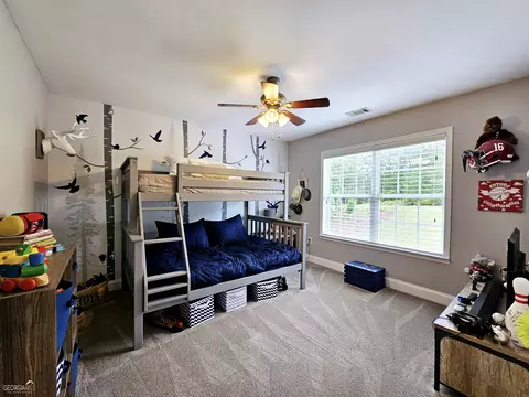 2040 Ferry Rd, Franklin, GA 30217 photo 44