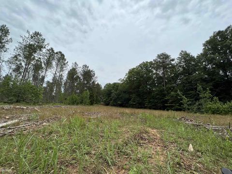 400 Ingram Rd, Forsyth, GA 31029 photo 3