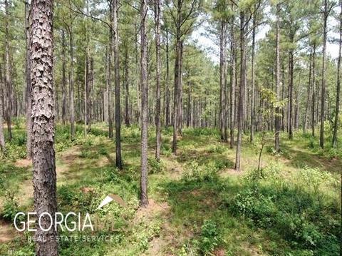 400 Ingram Rd, Forsyth, GA 31029 photo 2