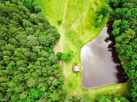 550 Roy Brown Rd, Buchanan, GA 30113 photo 12