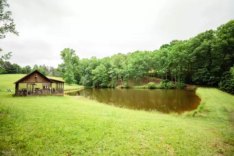 550 Roy Brown Rd, Buchanan, GA 30113 photo 17
