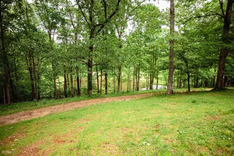550 Roy Brown Rd, Buchanan, GA 30113 photo 40