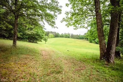550 Roy Brown Rd, Buchanan, GA 30113 photo 21