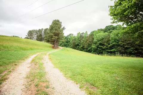 550 Roy Brown Rd, Buchanan, GA 30113 photo 25