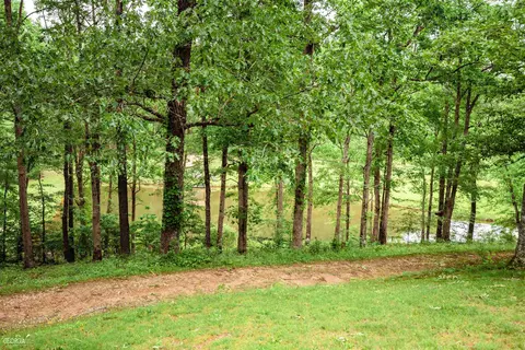 550 Roy Brown Rd, Buchanan, GA 30113 photo 41