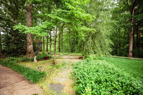 550 Roy Brown Rd, Buchanan, GA 30113 photo 31