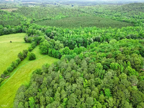 550 Roy Brown Rd, Buchanan, GA 30113 photo 10