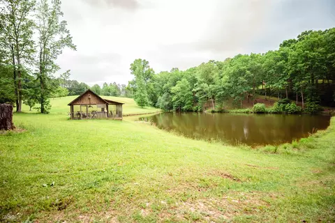 550 Roy Brown Rd, Buchanan, GA 30113 photo 19