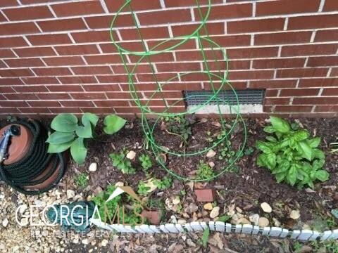 225 E Beech St, Cochran, GA 31014 photo 82