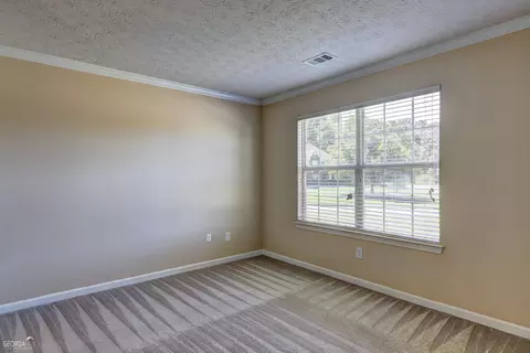 114 Bobtail Ct, Hampton, GA 30228 photo 18