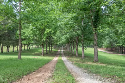 511 Tomme Rd, Lagrange, GA 30240 photo 3