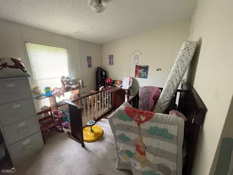 393 E Virginia Ln, Macon, GA 31217 photo 57