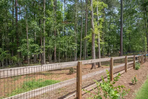 135 Windchime Way, Tyrone, GA 30290 photo 45