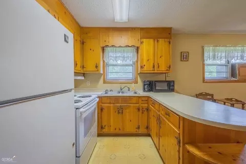 205 Lewis St, Toccoa, GA 30577 photo 21