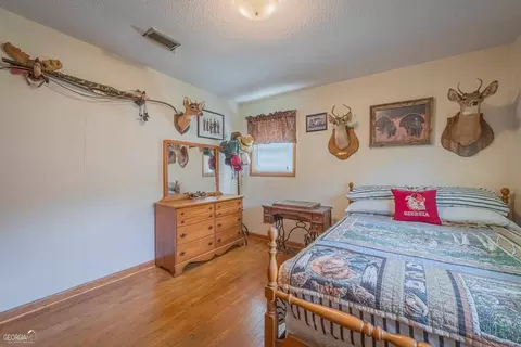 205 Lewis St, Toccoa, GA 30577 photo 33