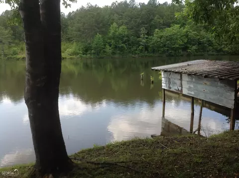 1000 County Road 247, Fruithurst, AL 36262 photo 34