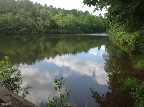 1000 County Road 247, Fruithurst, AL 36262 photo 3