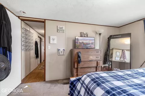 543 Smith Loop Rd, Demorest, GA 30535 photo 10