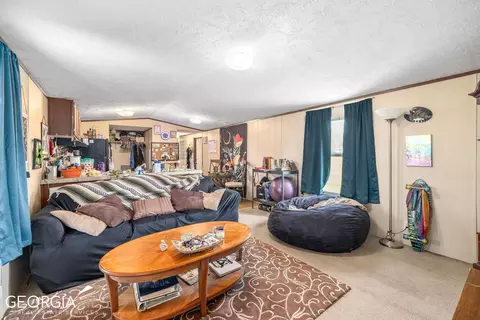543 Smith Loop Rd, Demorest, GA 30535 photo 4