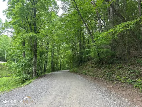 lot5 Bear Paw Trl, Cherry Log, GA 30522
