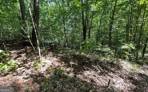 lot8 D Eagle Hts, Hiawassee, GA 30546