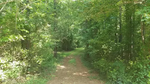 1168 Coppermine Rd, Buchanan, GA 30113 photo 10