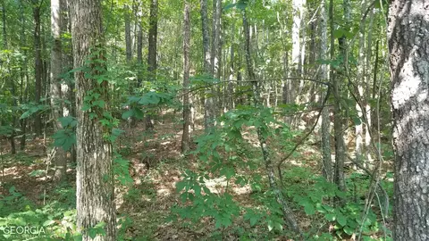 1168 Coppermine Rd, Buchanan, GA 30113 photo 12