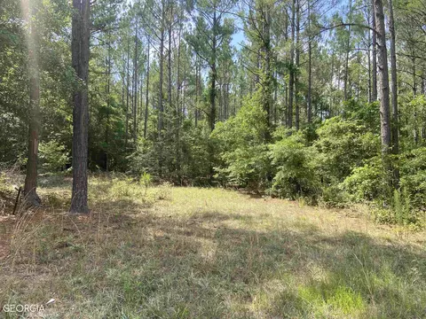 645 Lester Carroll Rd, Adrian, GA 31002 photo 32
