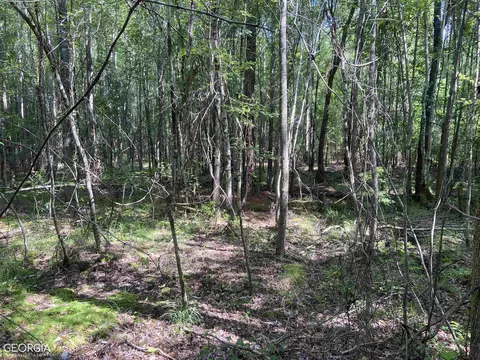 645 Lester Carroll Rd, Adrian, GA 31002 photo 40
